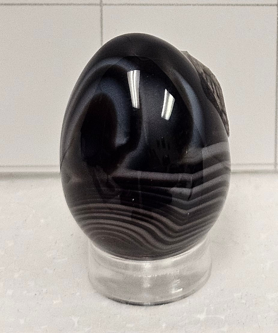 Tuxedo Agate Egg