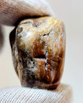 Lake Superior Agate