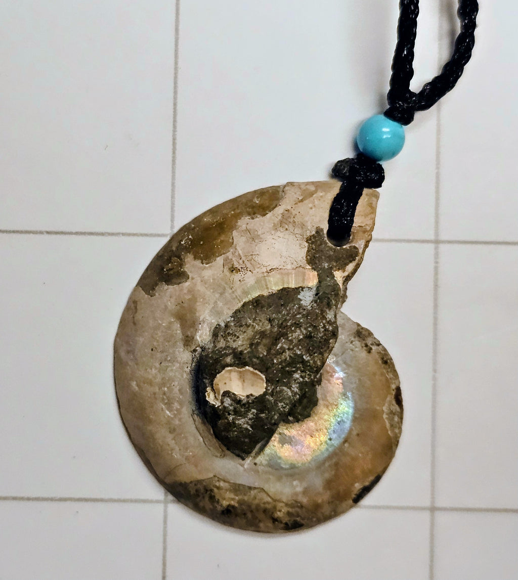 Ammonite/ Ammolite necklace