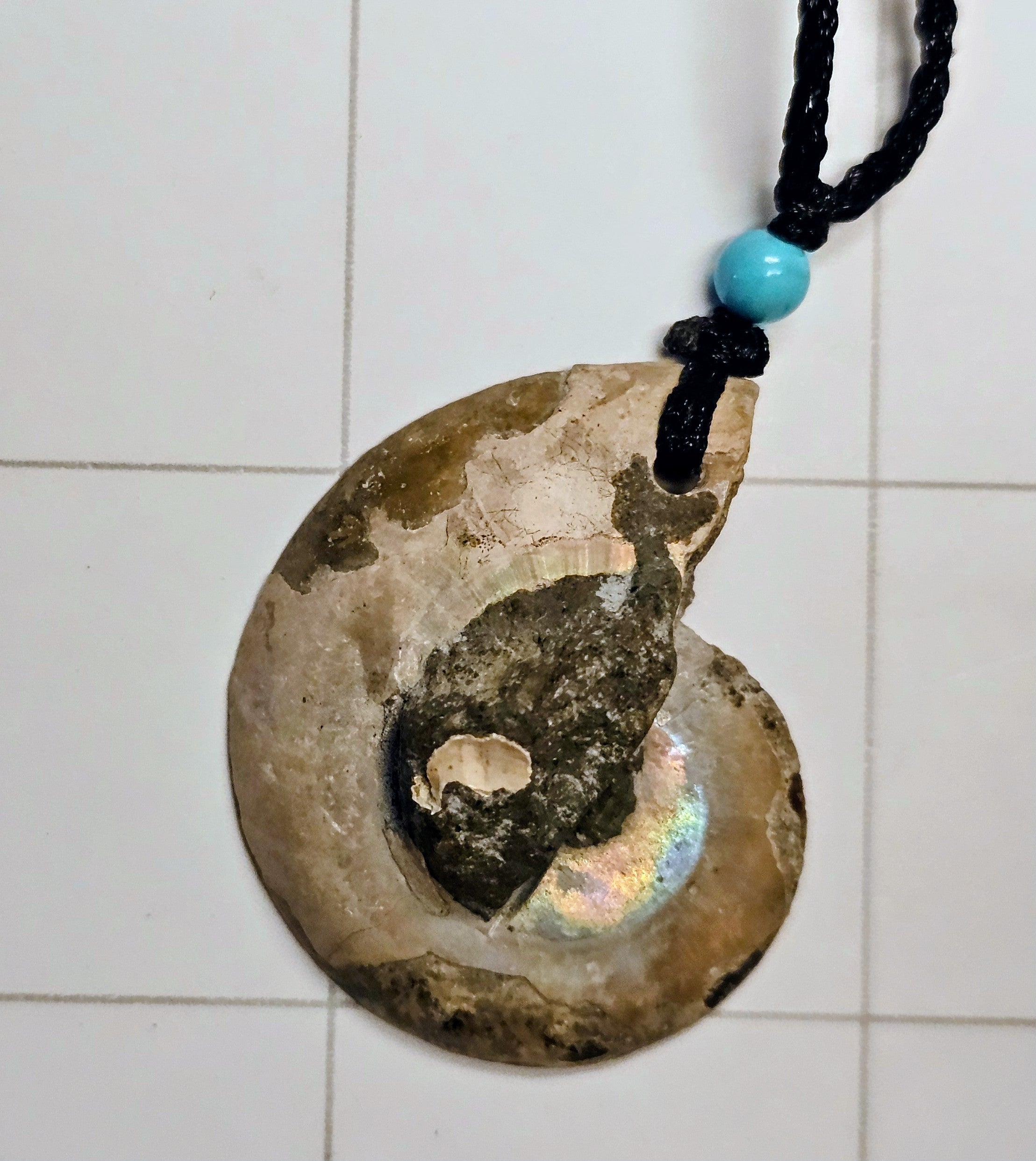 Ammonite/ Ammolite necklace