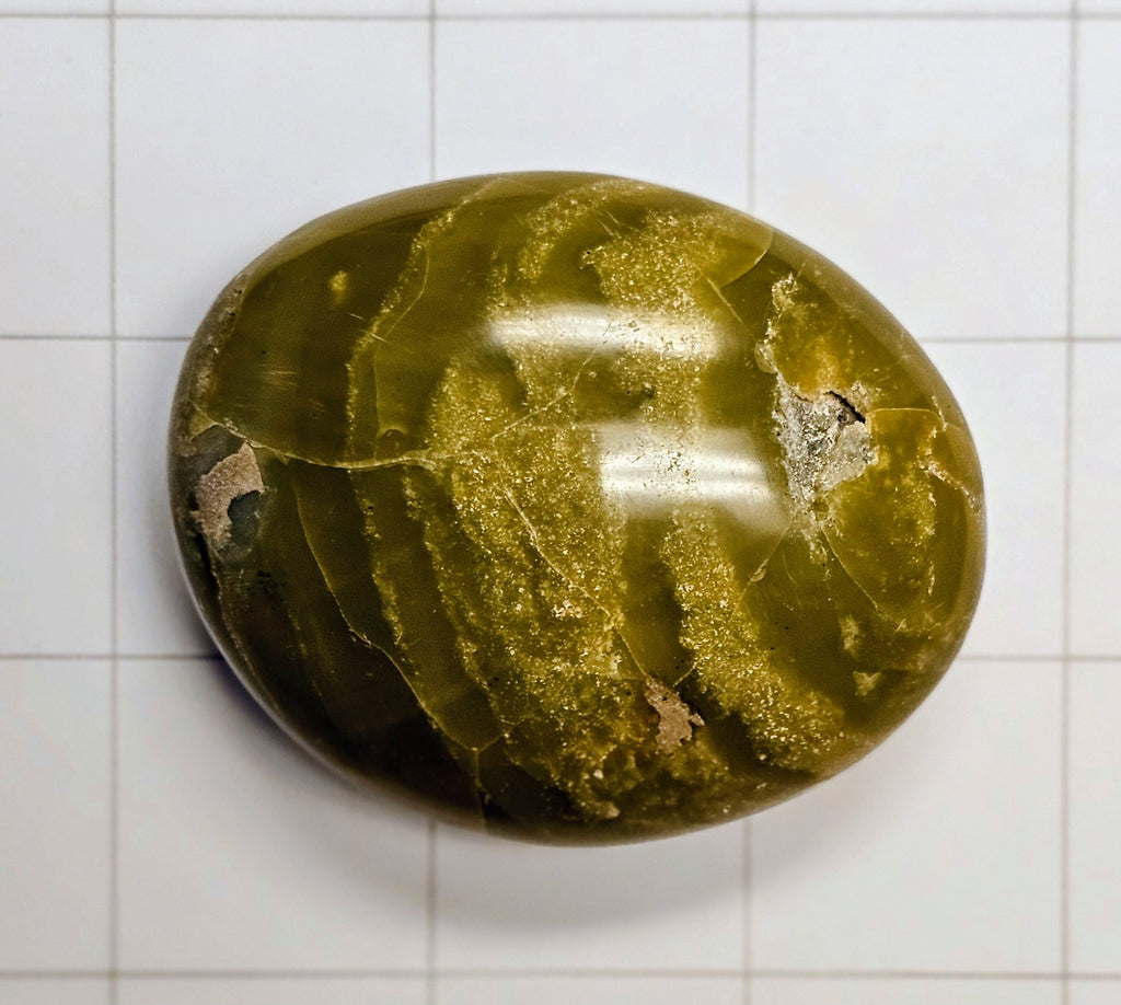 Green Opal Palm Stone