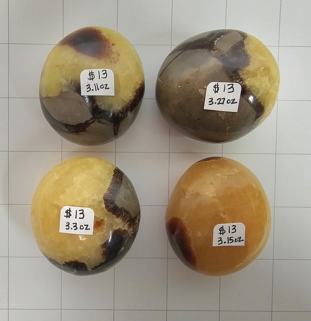 Septarian Palm stones