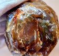 Lake Superior Agate