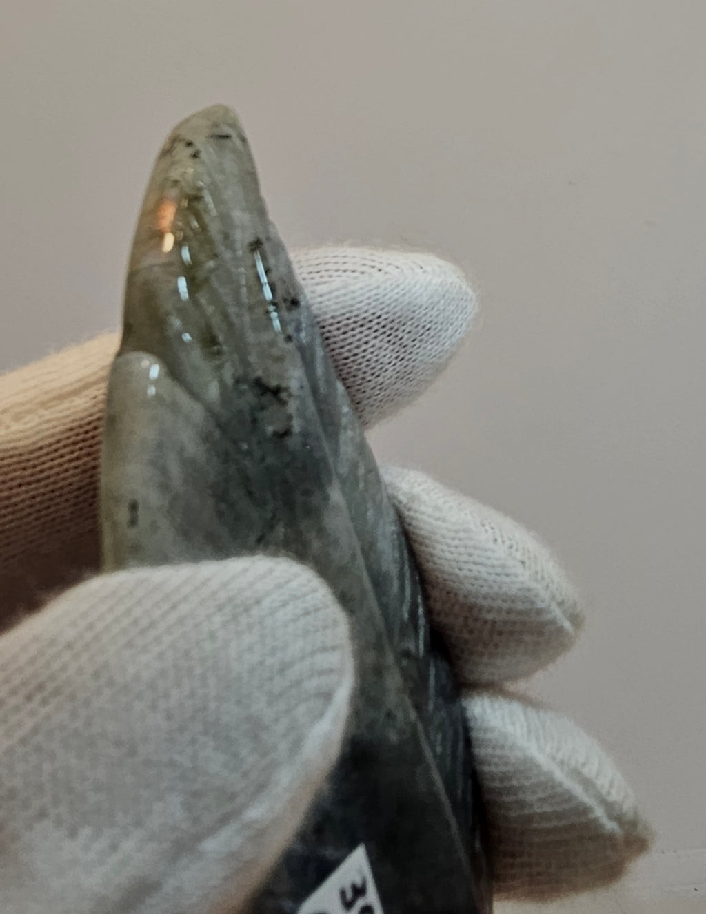Labradorite feather