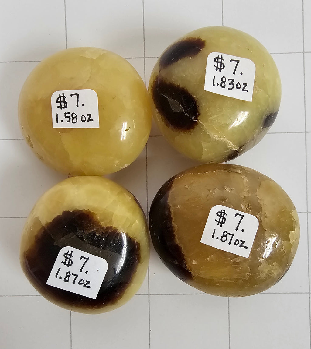 Septarian Palm stones