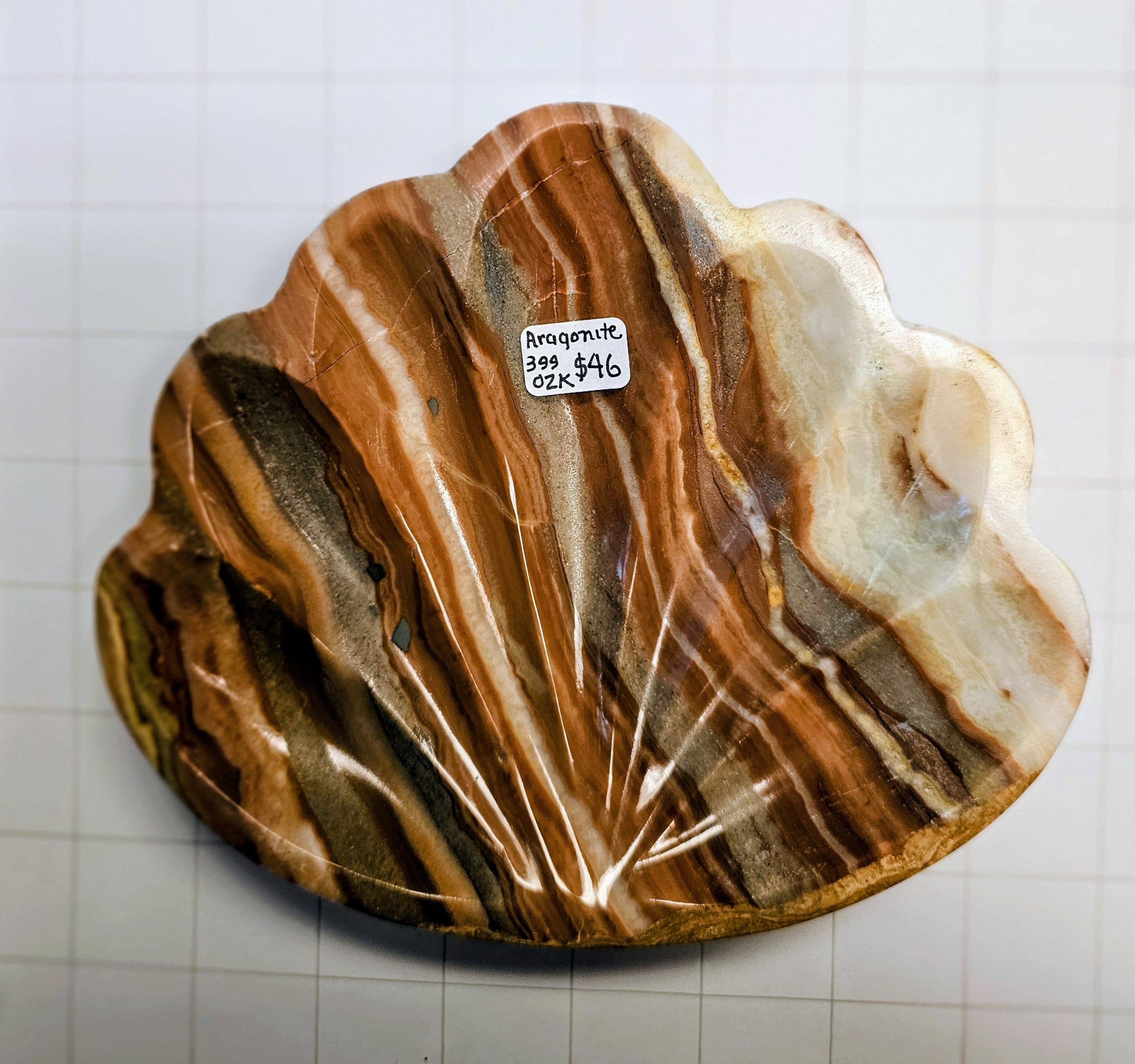 Large Aragonite Shell Dish