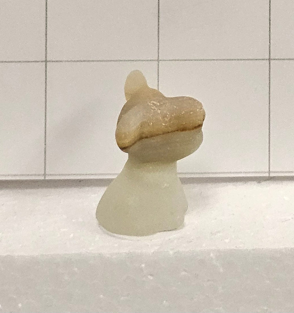 Afghan Onyx Dog