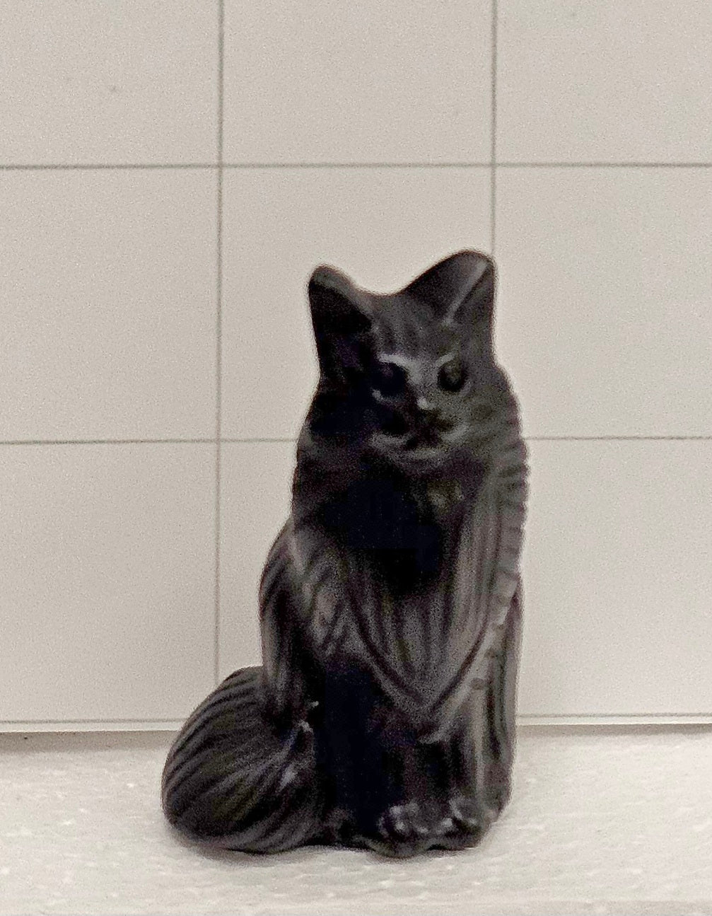 Obsidian Maine Coon Cat