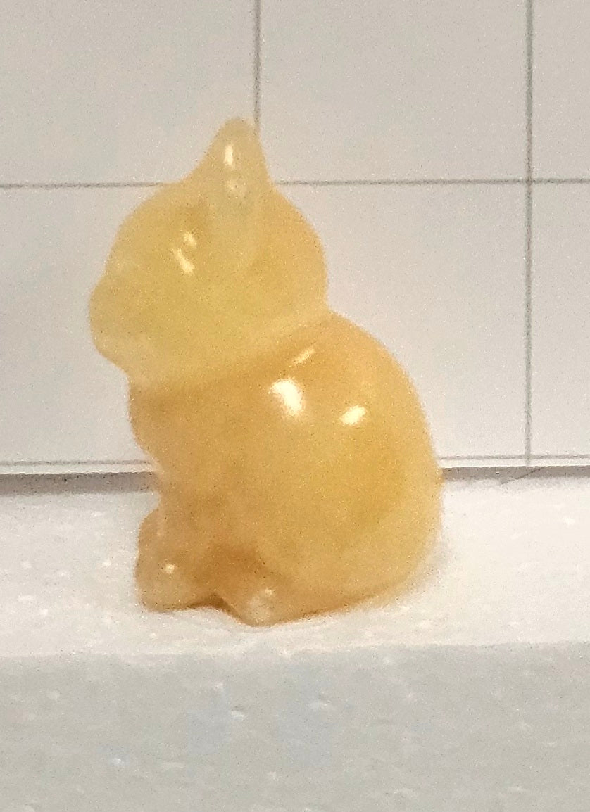 Golden Calcite kittens