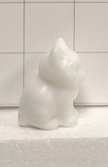 Snow Quartz kitten