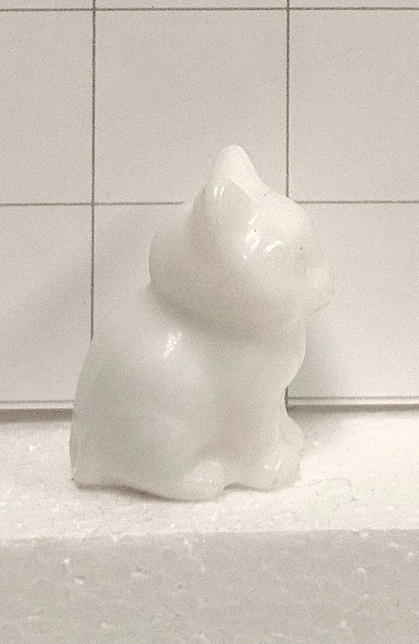 Snow Quartz kitten
