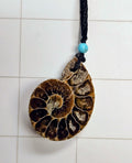Ammonite/ Ammolite necklace