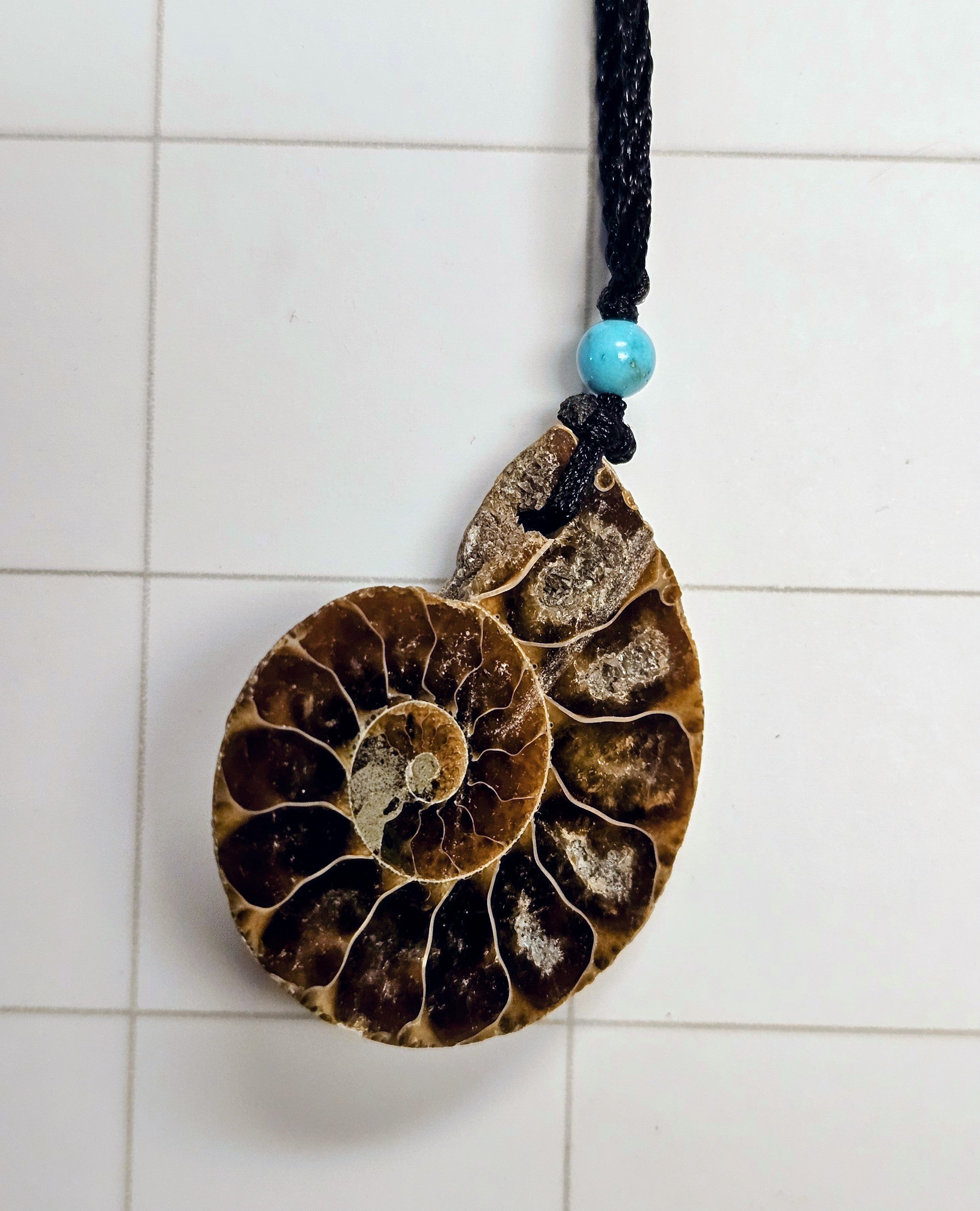 Ammonite/ Ammolite necklace