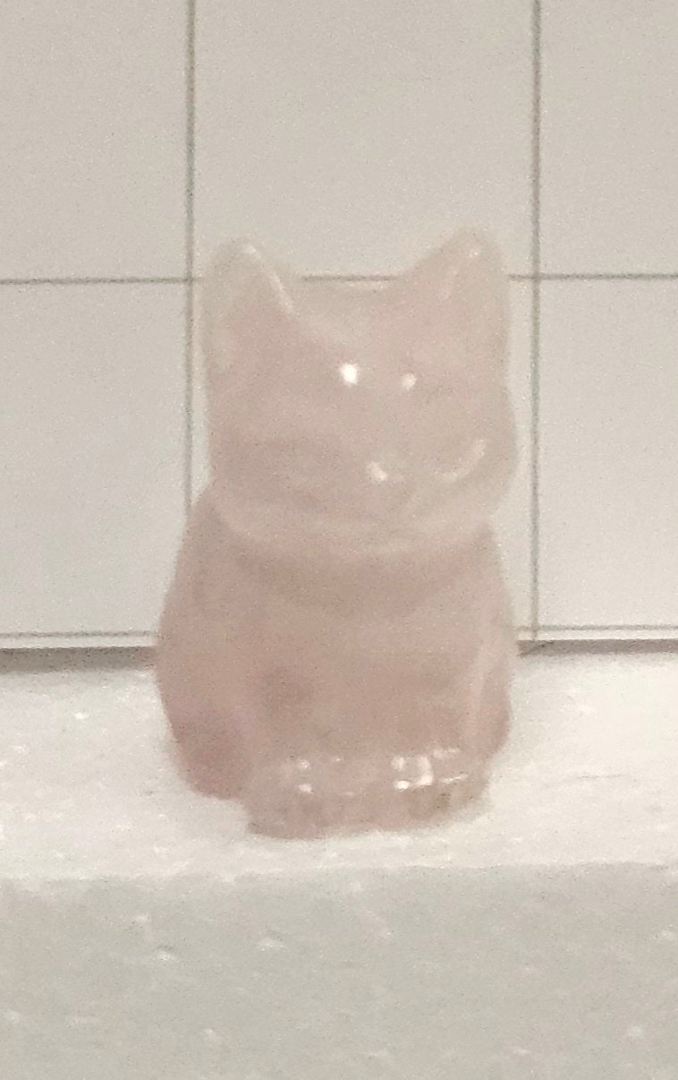 Rose Quartz kitten