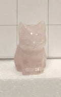 Rose Quartz kitten