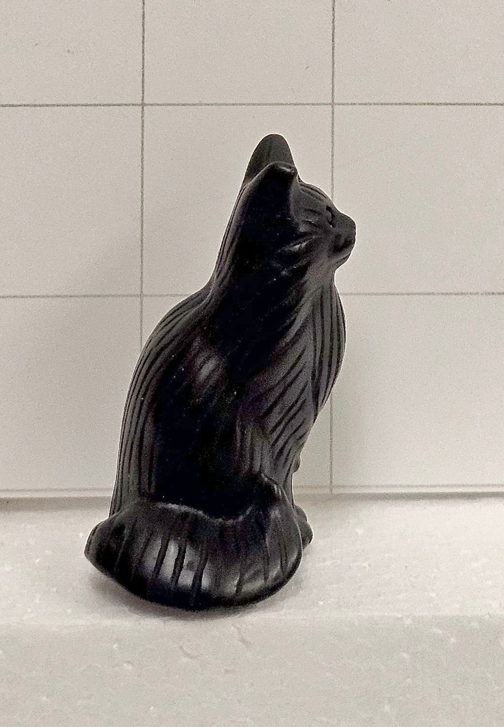 Obsidian Maine Coon Cat