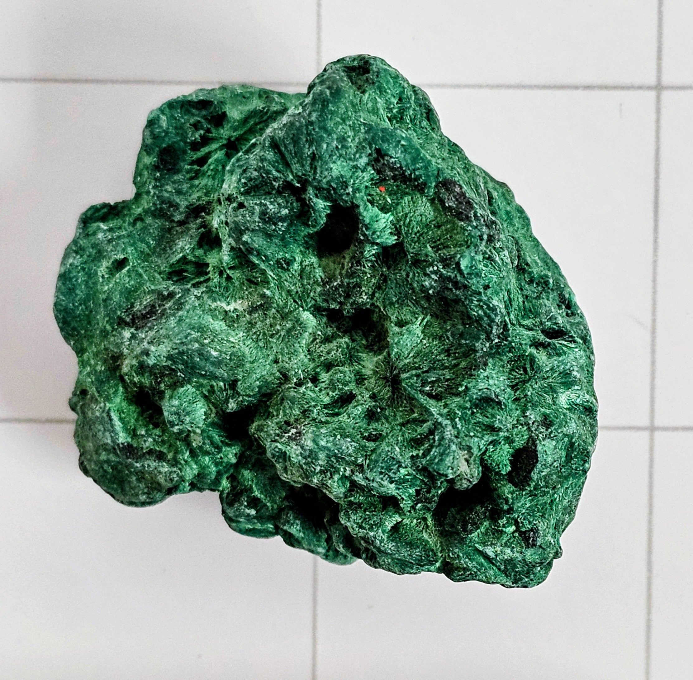 Velvet Malachite