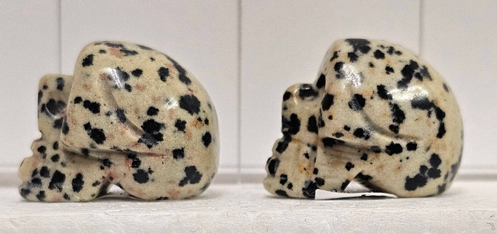Dalmatian stone Skull
