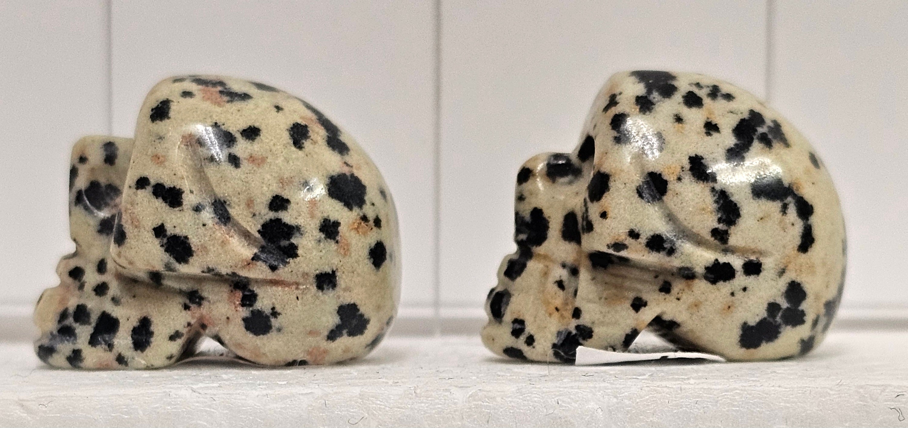 Dalmatian stone Skull