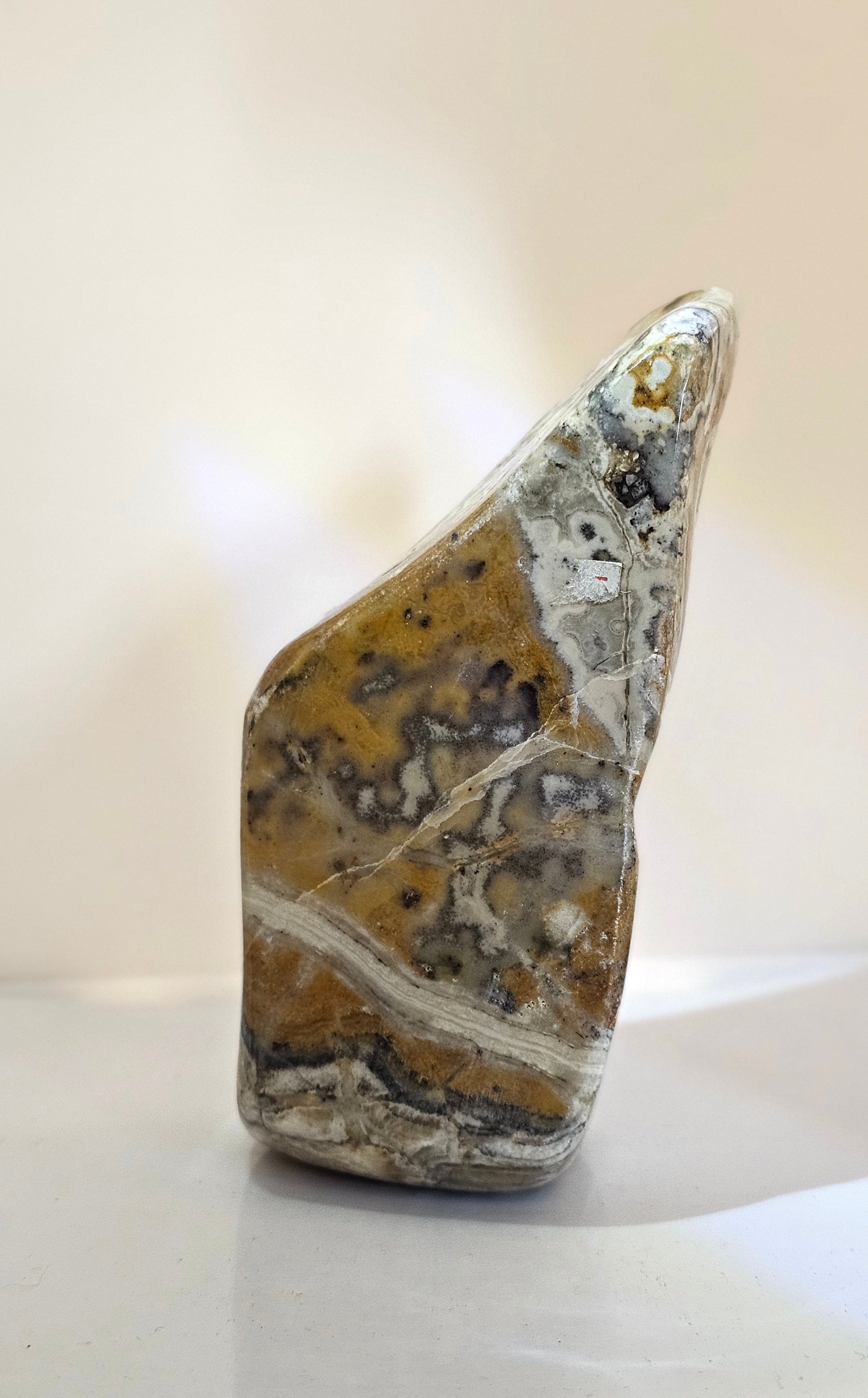Bumble Bee Jasper freeform