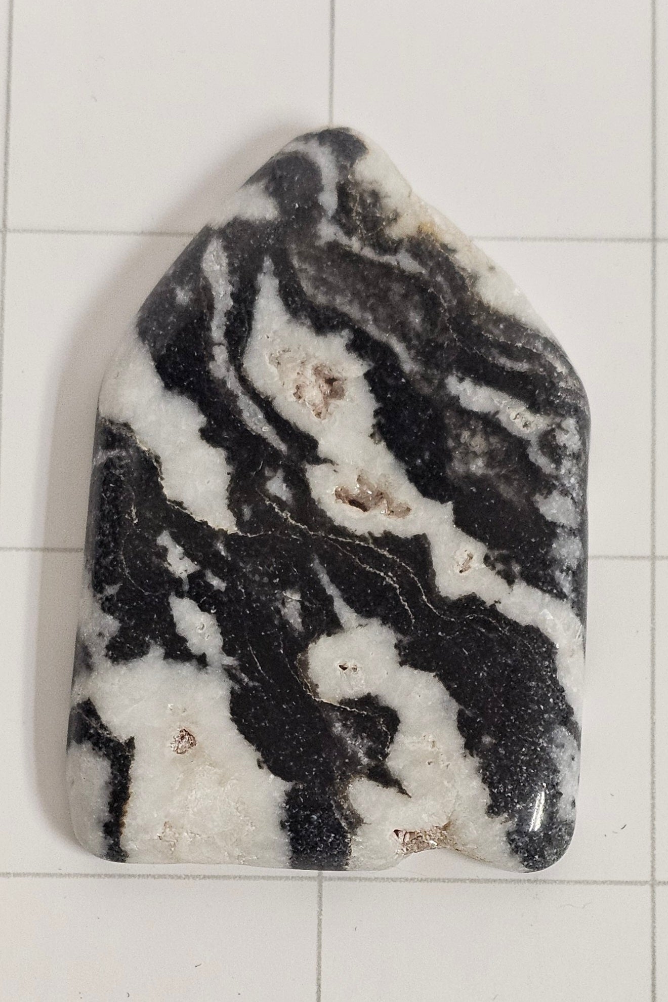 Zebra stone cabochon