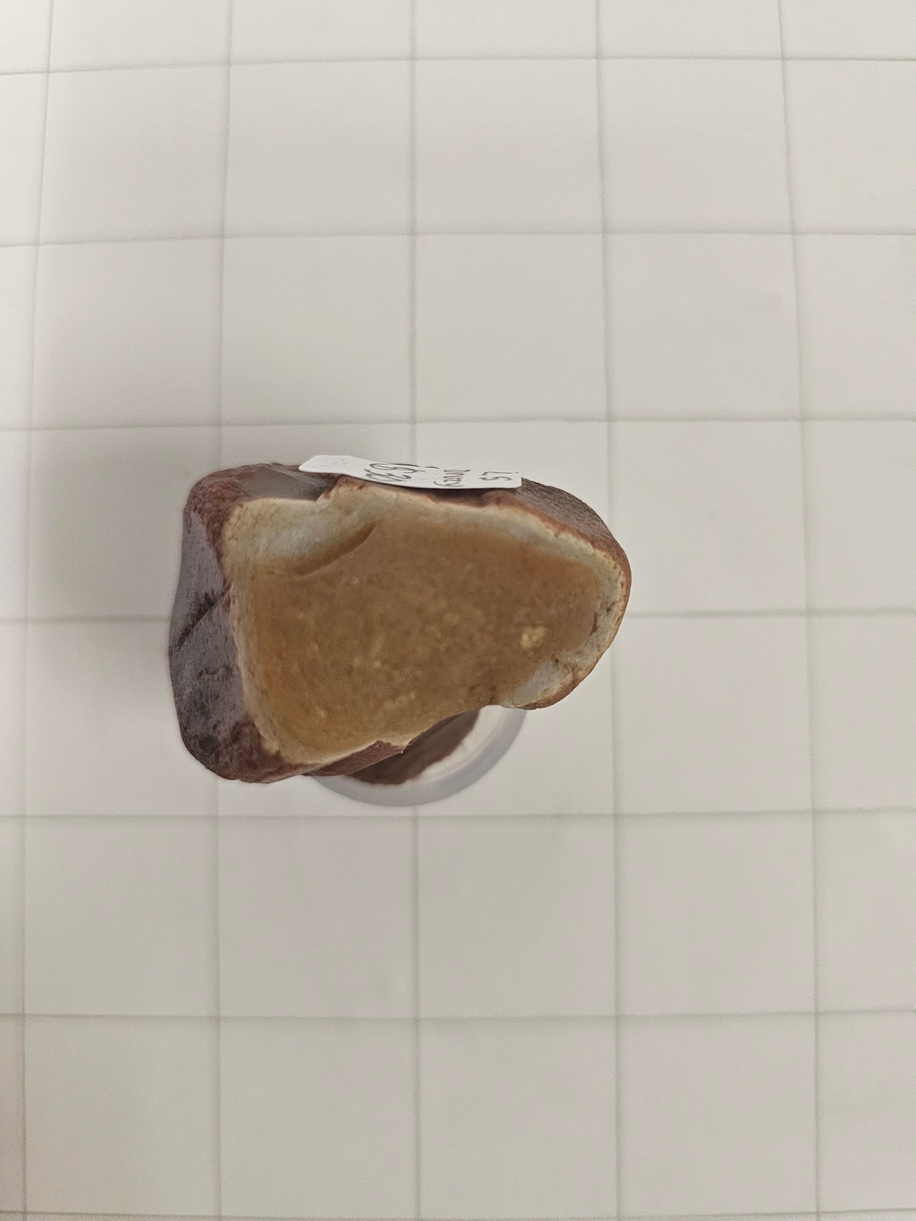 Raw Lake Superior Agate