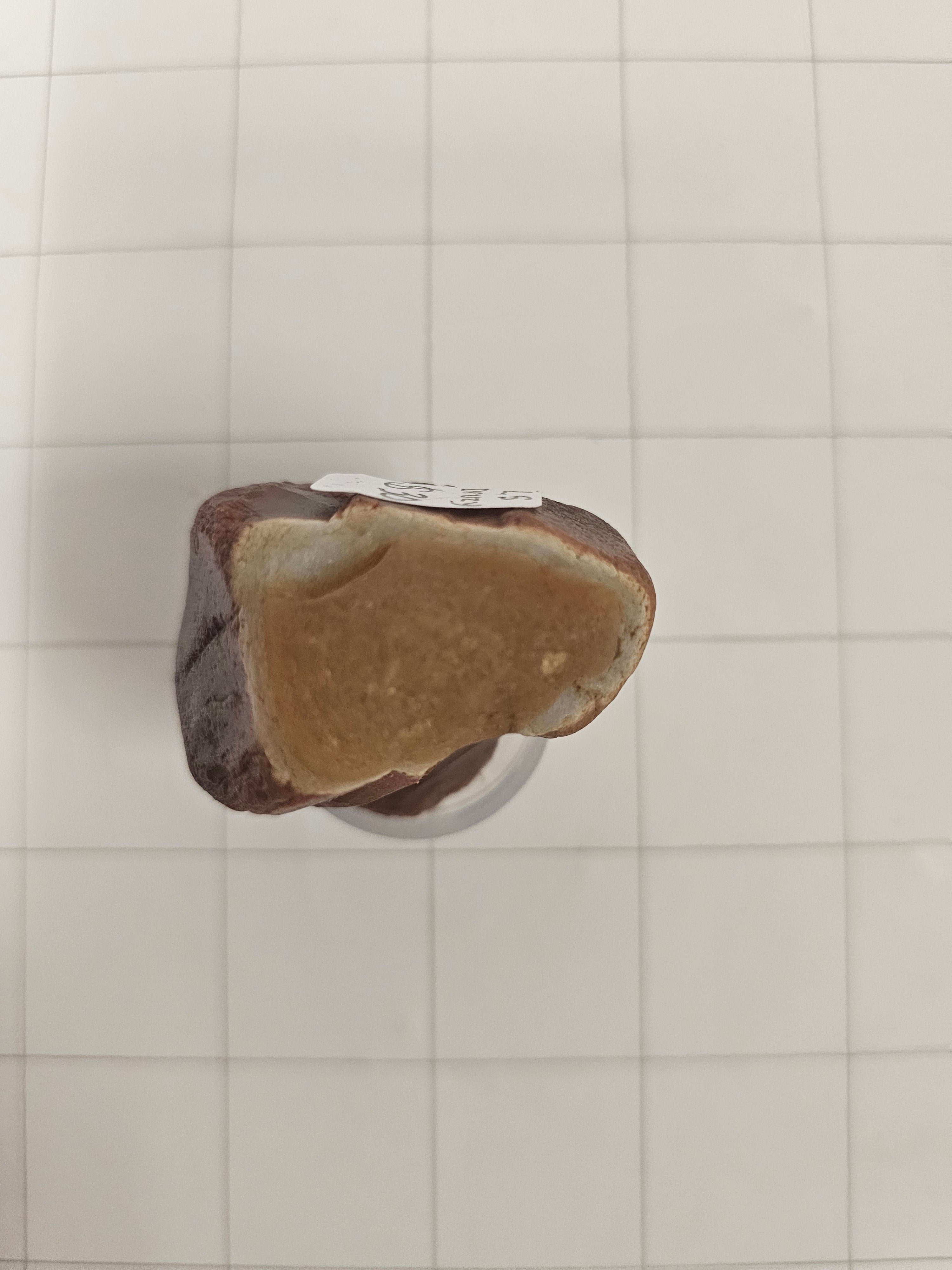 Raw Lake Superior Agate