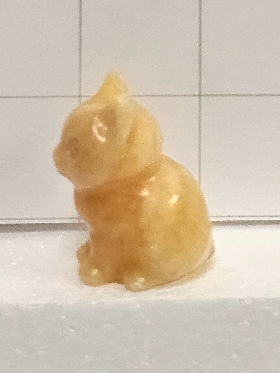 Golden Calcite kittens