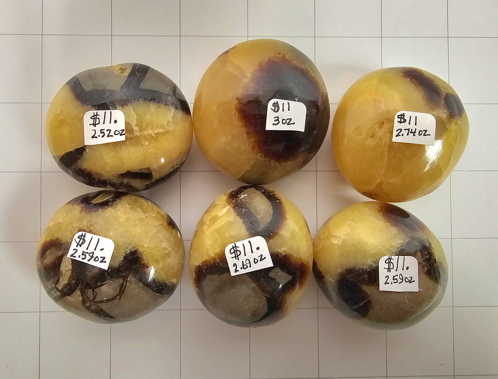 Septarian Palm stones