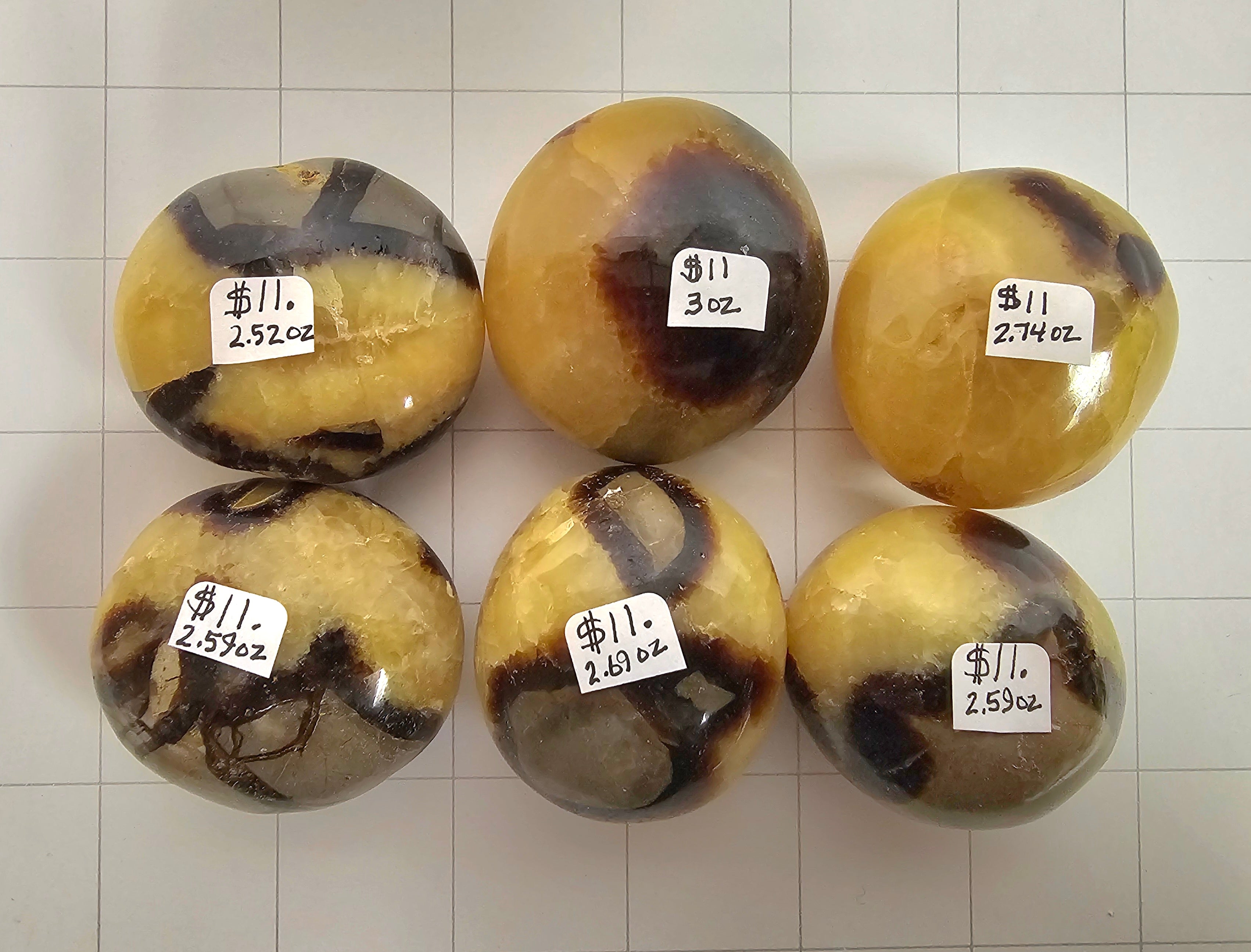Septarian Palm stones