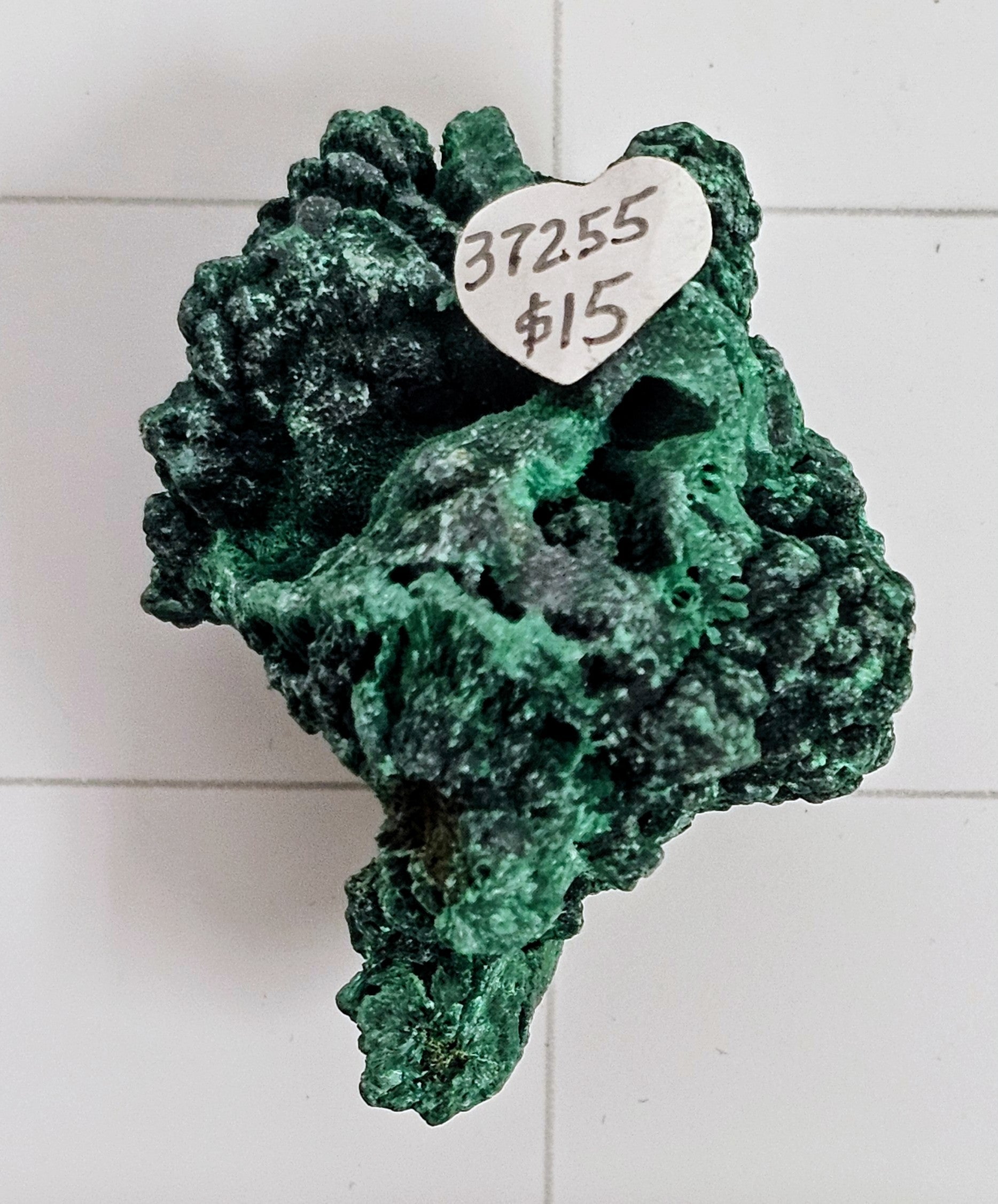 Velvet Malachite
