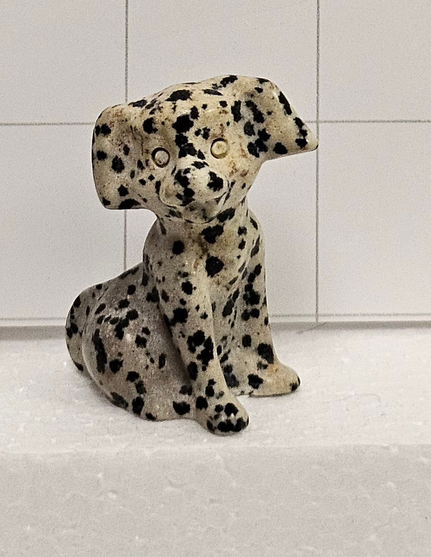 Dalmatian stone Dog