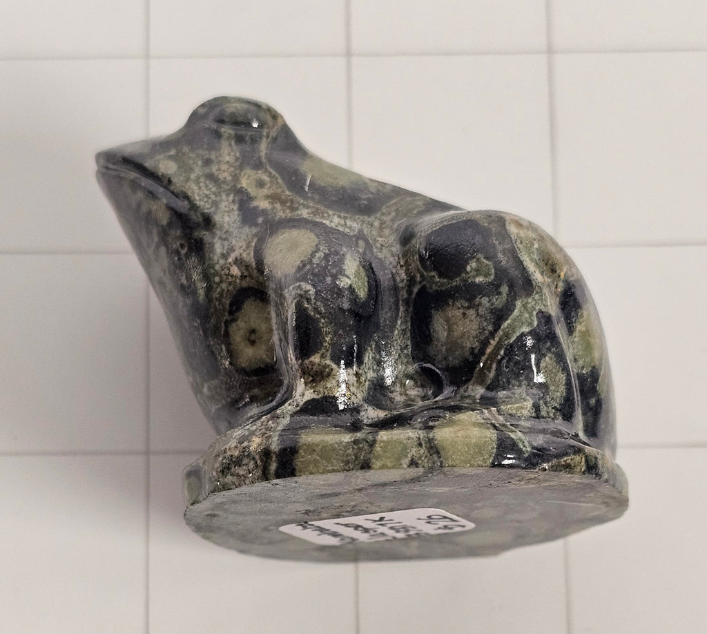 Kambaba Jasper Frog