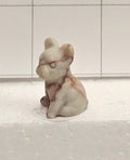 Veined Jasper puppy