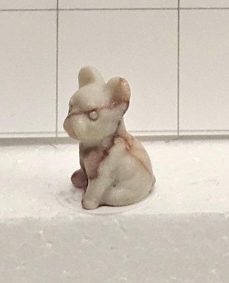 Veined Jasper puppy