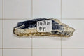 Kyanite