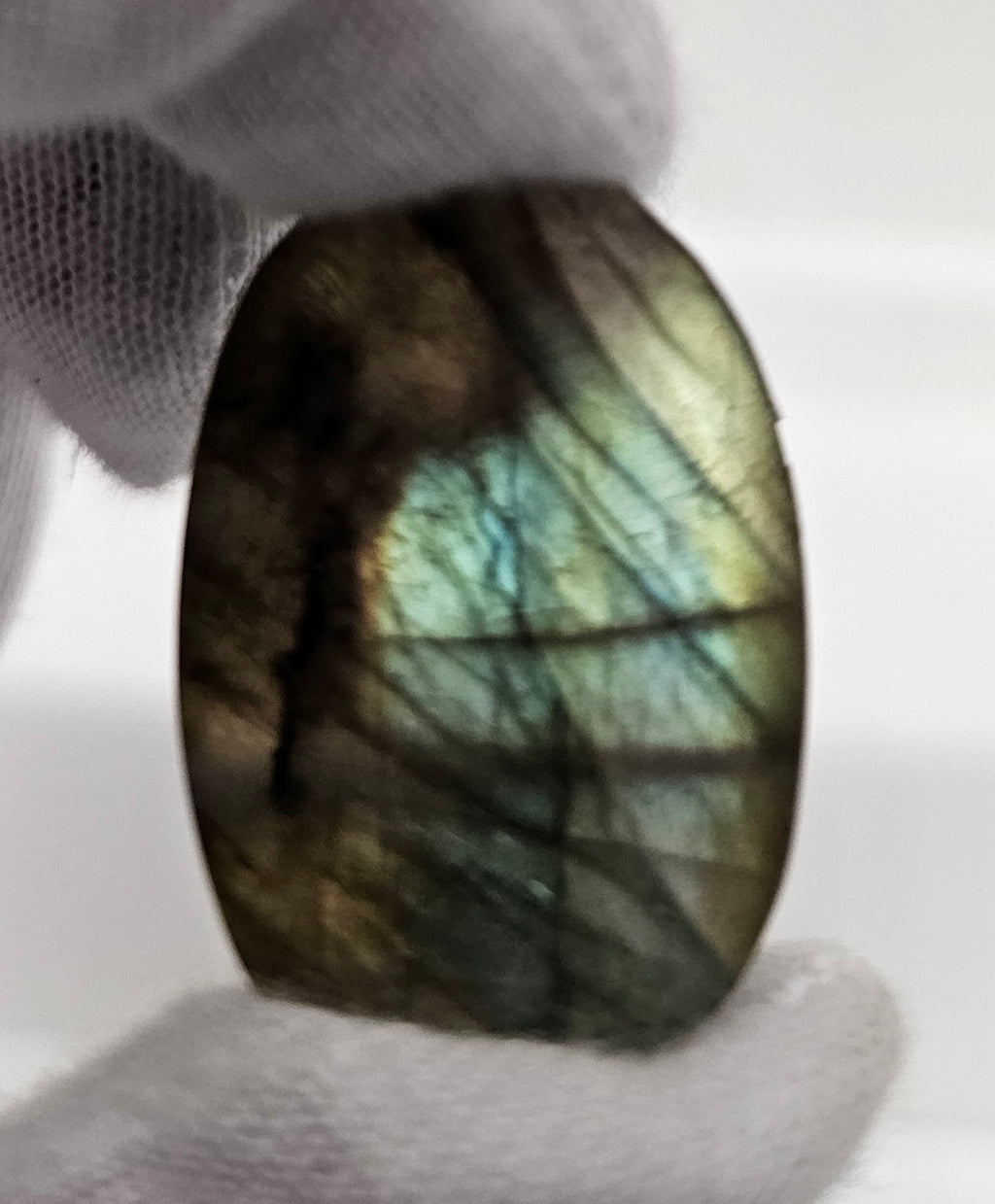 Spectrolite (Labradorite) cabochon