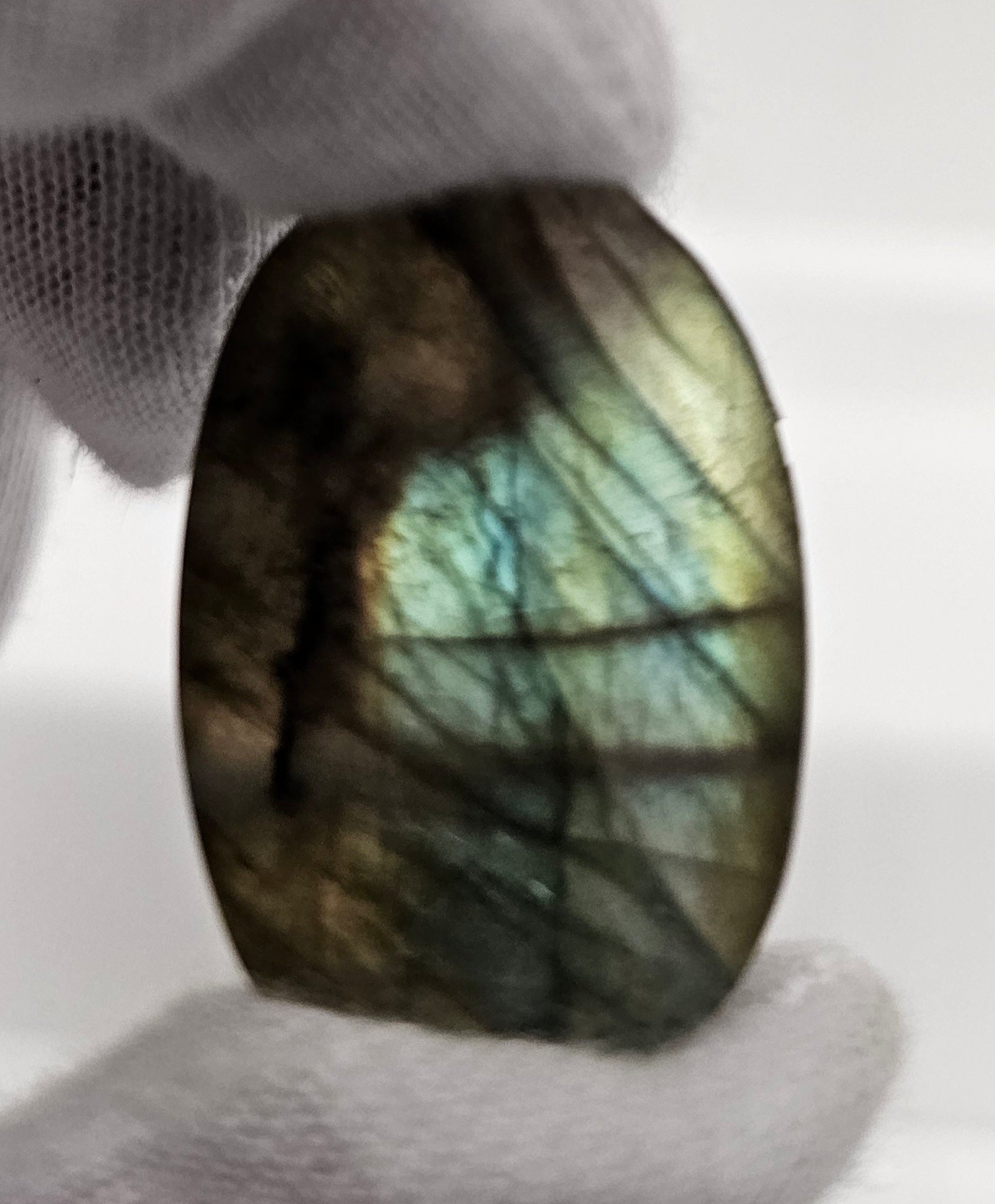 Spectrolite (Labradorite) cabochon